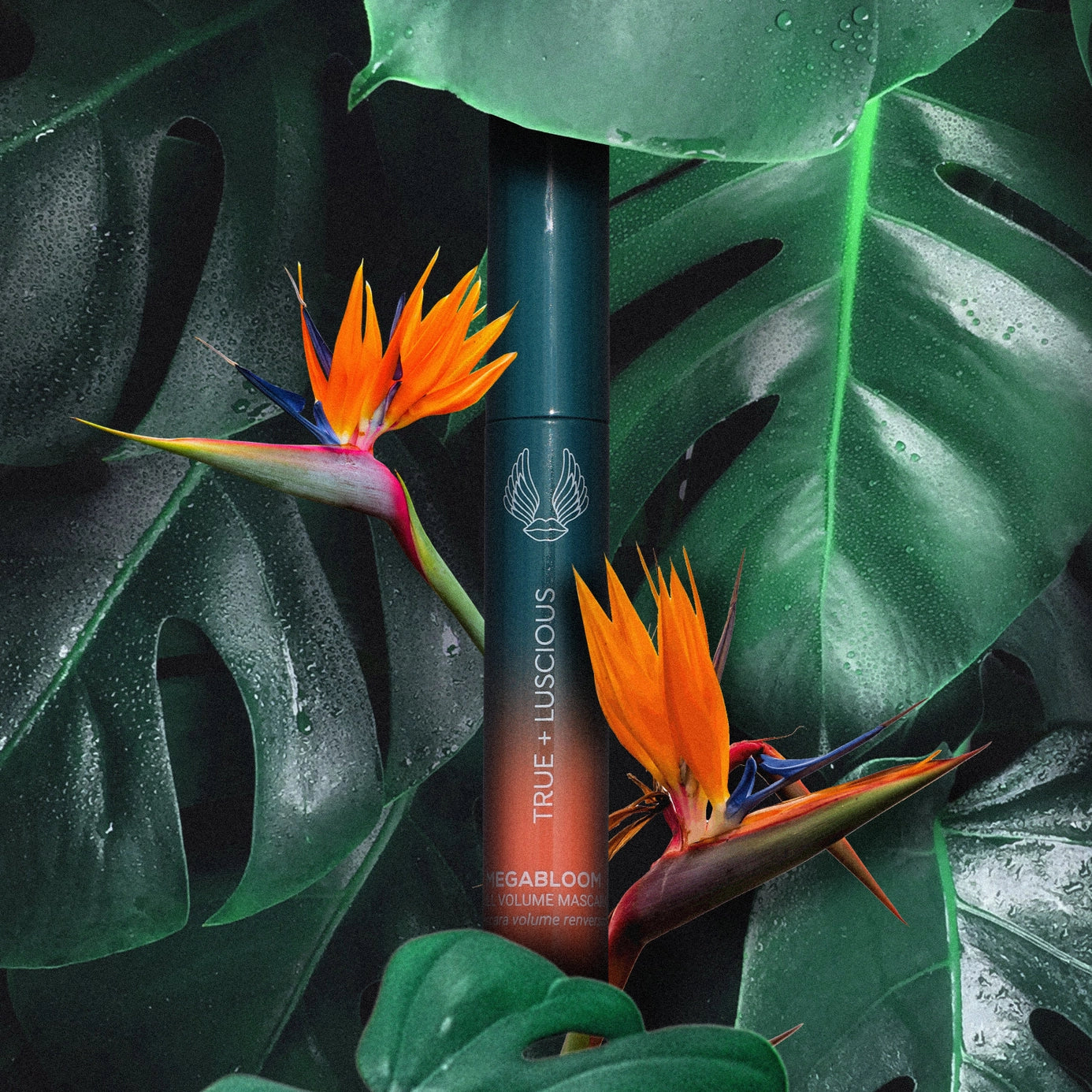 Megabloom Full Volume Mascara