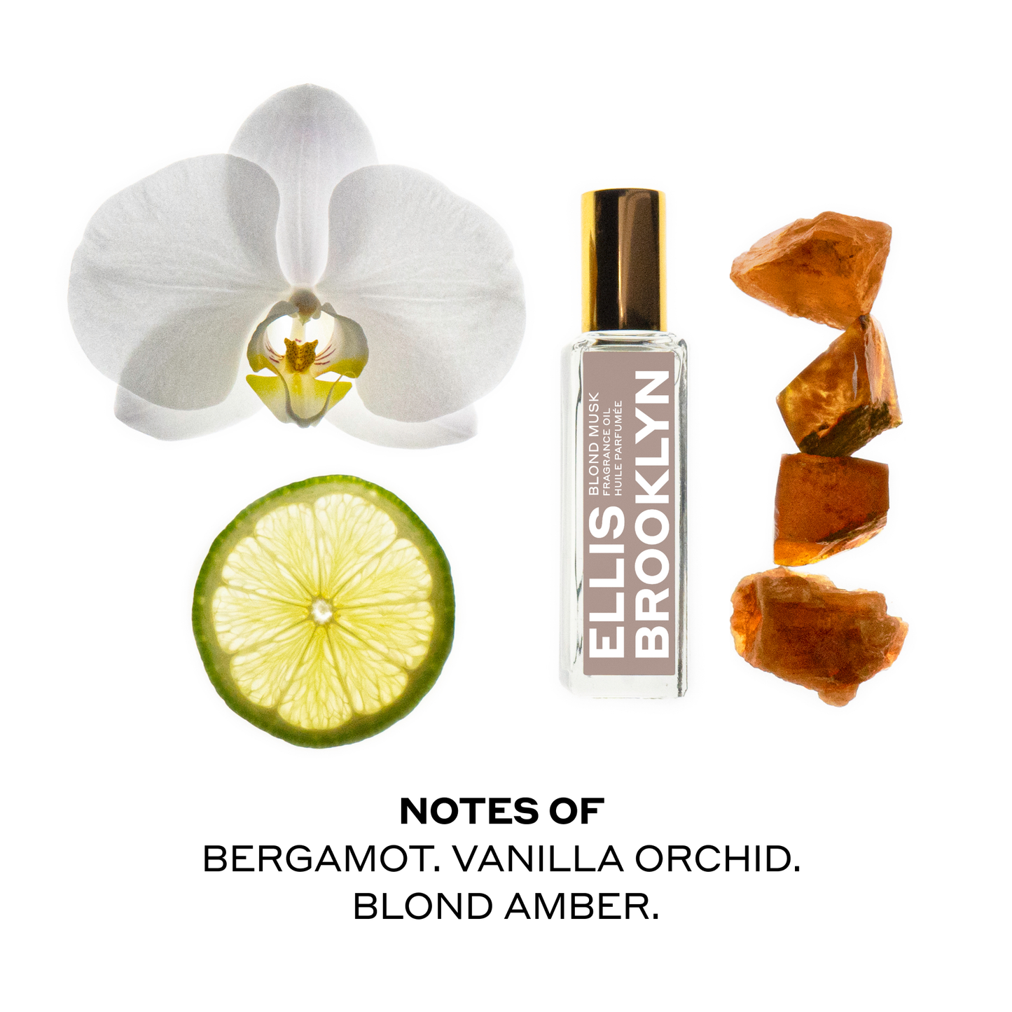 BLOND MUSK Fragrance Oil Rollerball