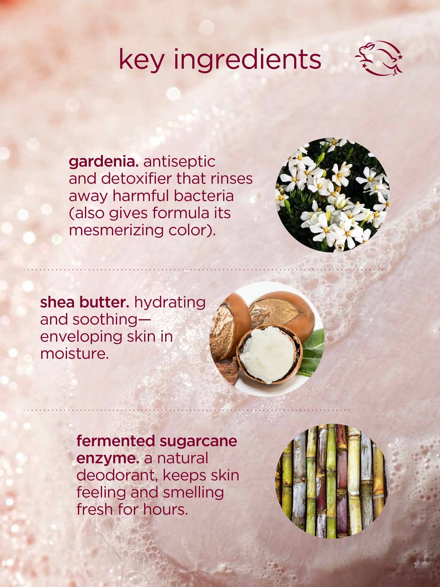 Cocoon cleanse - solid serum cleanser