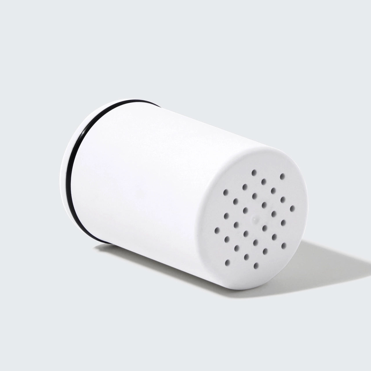 The Shower Filter