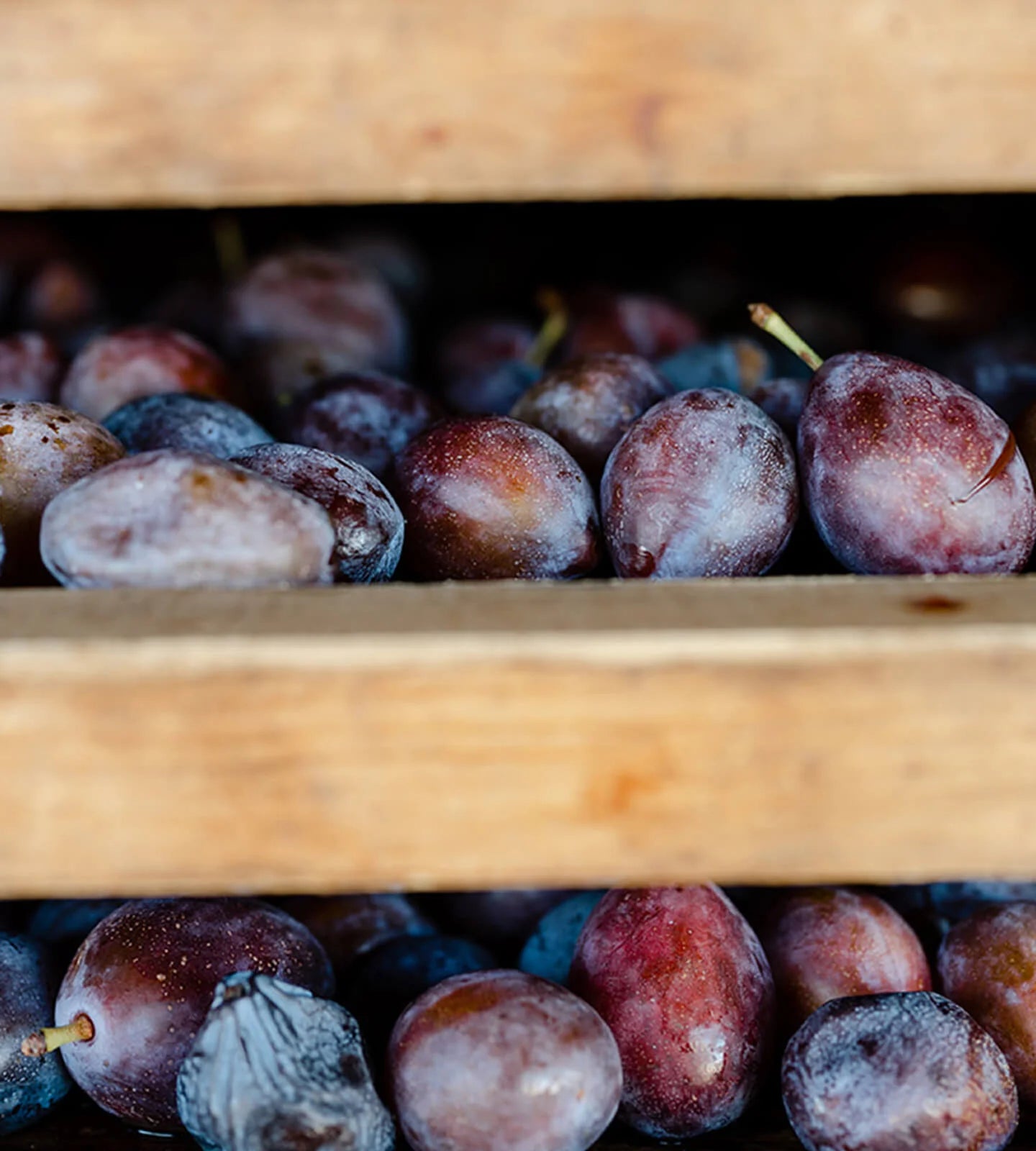 California Organic Dried Plums