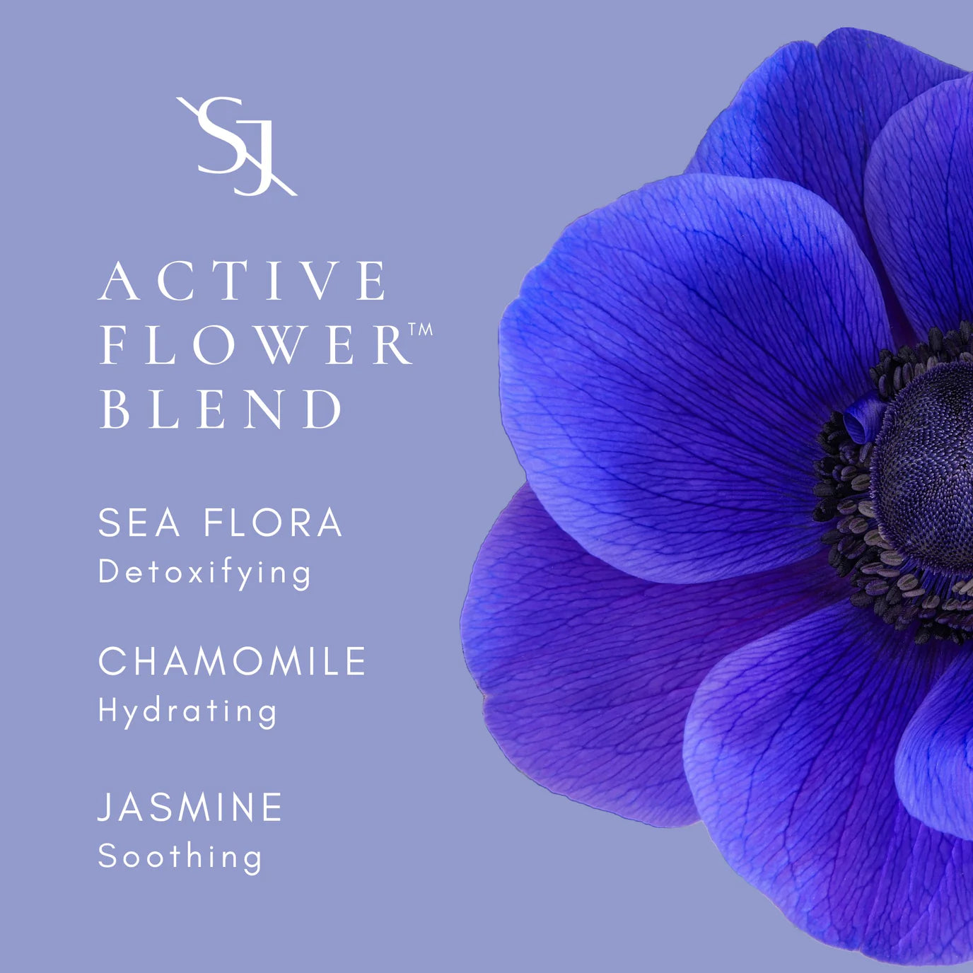 Hydrabloom Body Silk with Hyaluronic and Sea Flower Complex