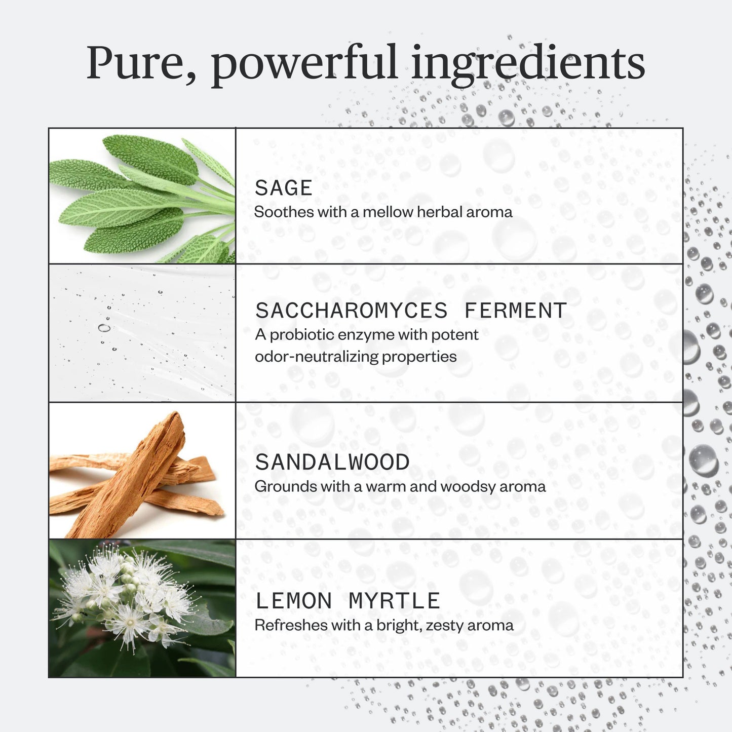 Sublime Sage Spray Deodorant