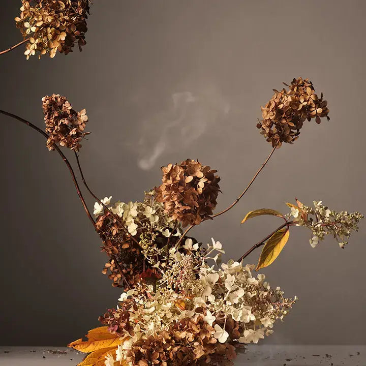 Cece Body Mist | Half Case: Dried hydrangea blooms alongside the mist bottle, reflecting the fragrance's blend of cedarwood smoke, cardamom, and cinnamon.