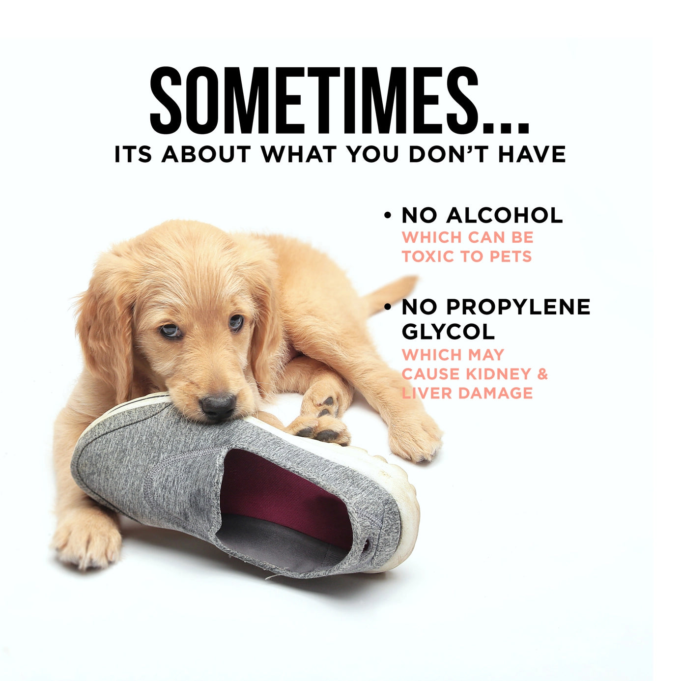 The Only Bitter Anti-Chew Spray Dogs May Need