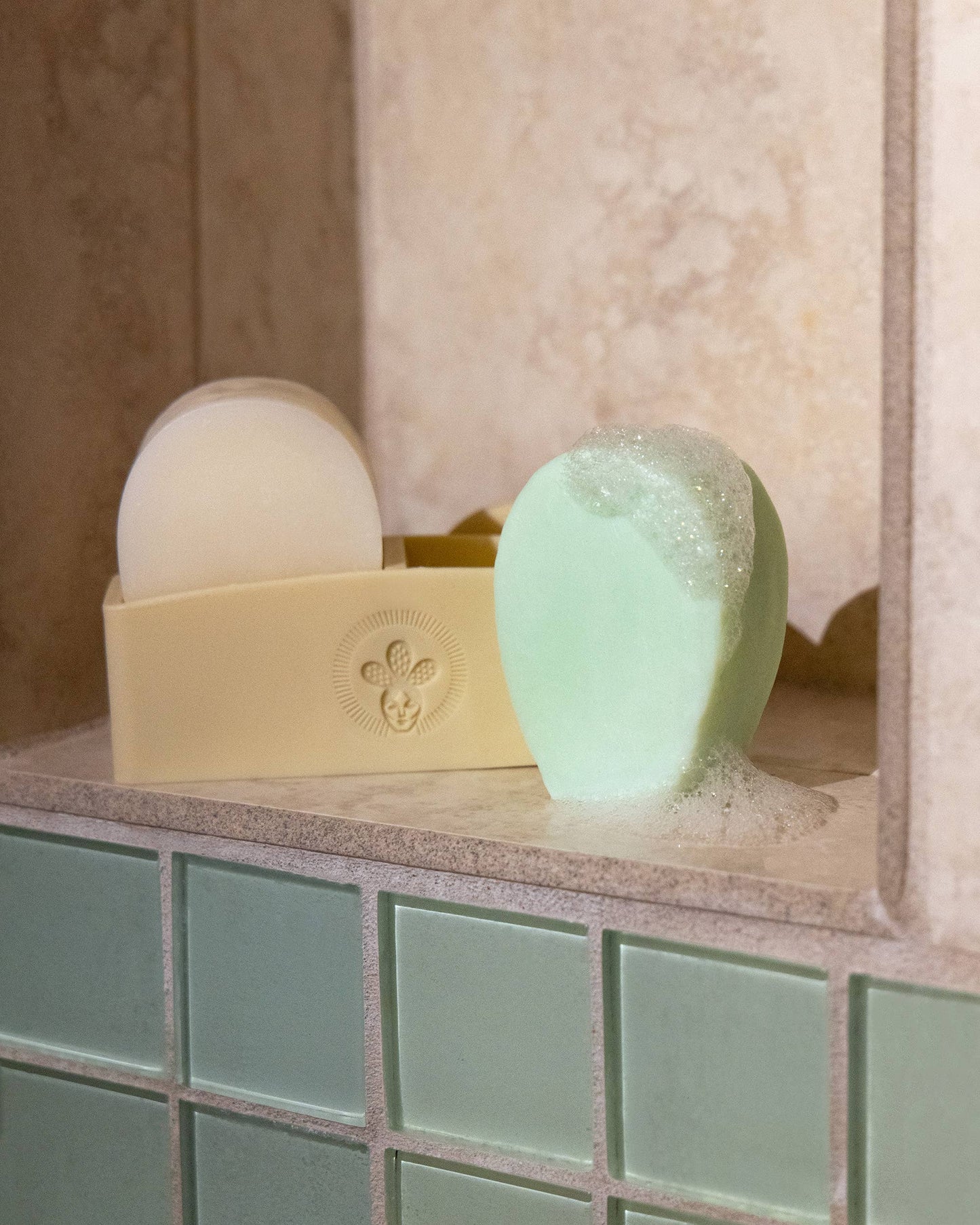 Shampoo & Conditioner Bar Holder