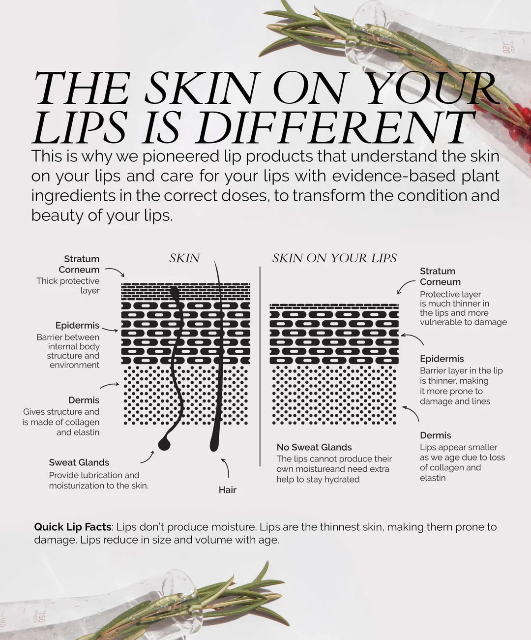 Lip Colour Serum