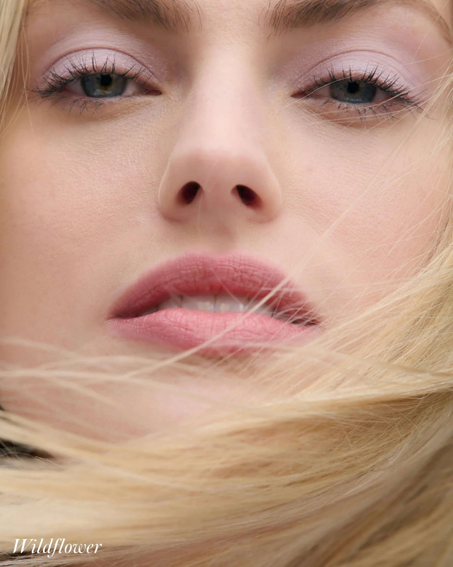 Cashmere Matte Eyelights
