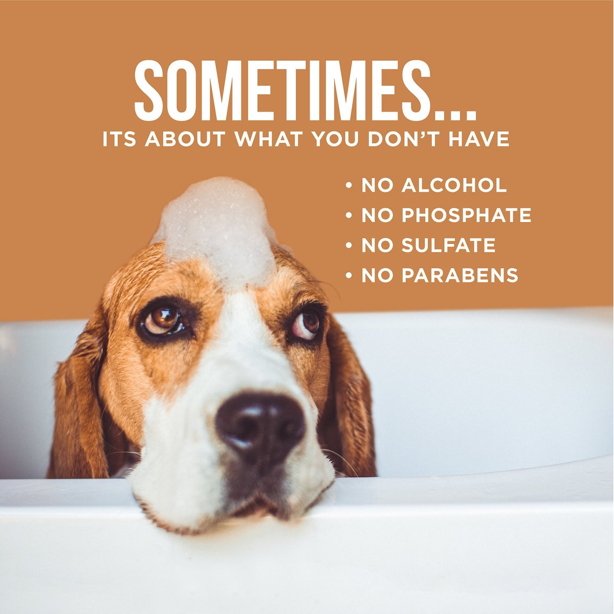 The Only Between Bath Spray Dogs Need