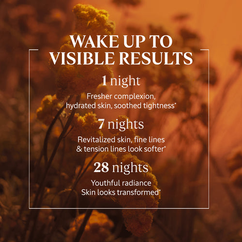 Immortelle Overnight Reset Oil-in-Serum
