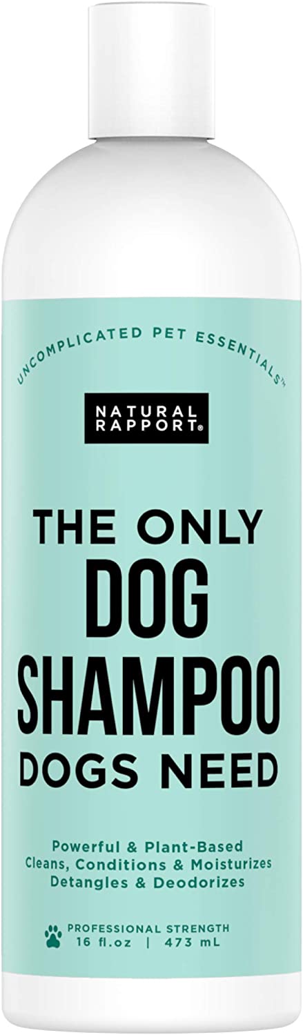 The Only Dog Shampoo Dogs Need