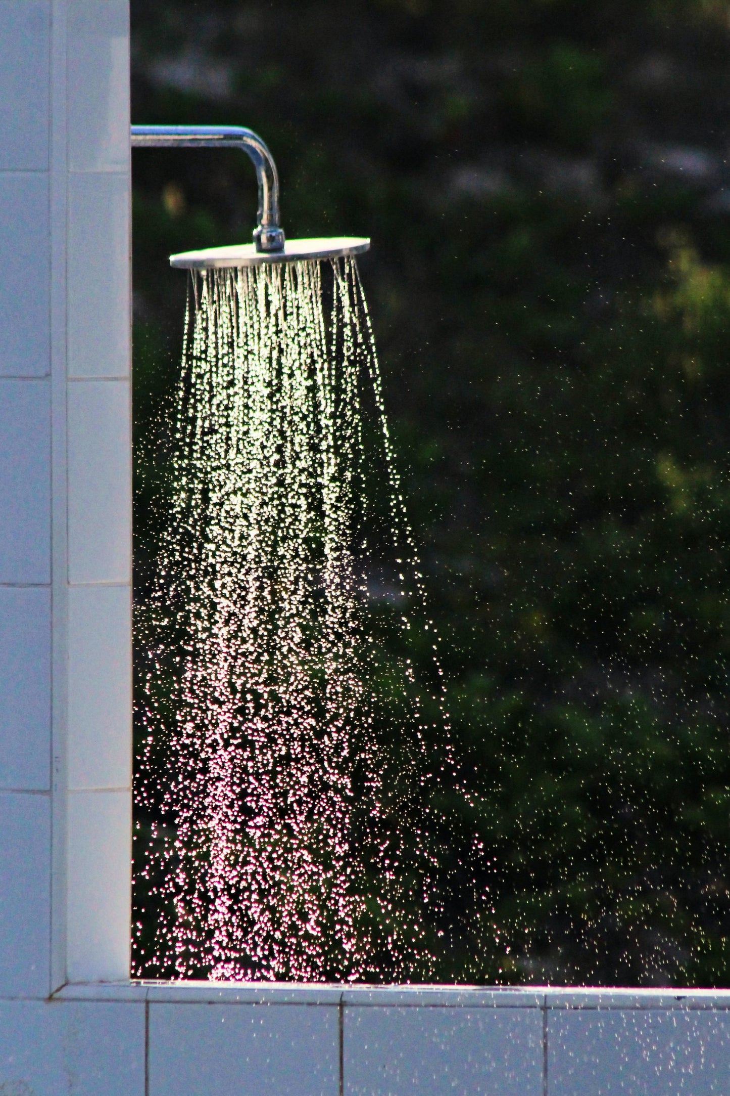 Energy Boost Shower Steamer