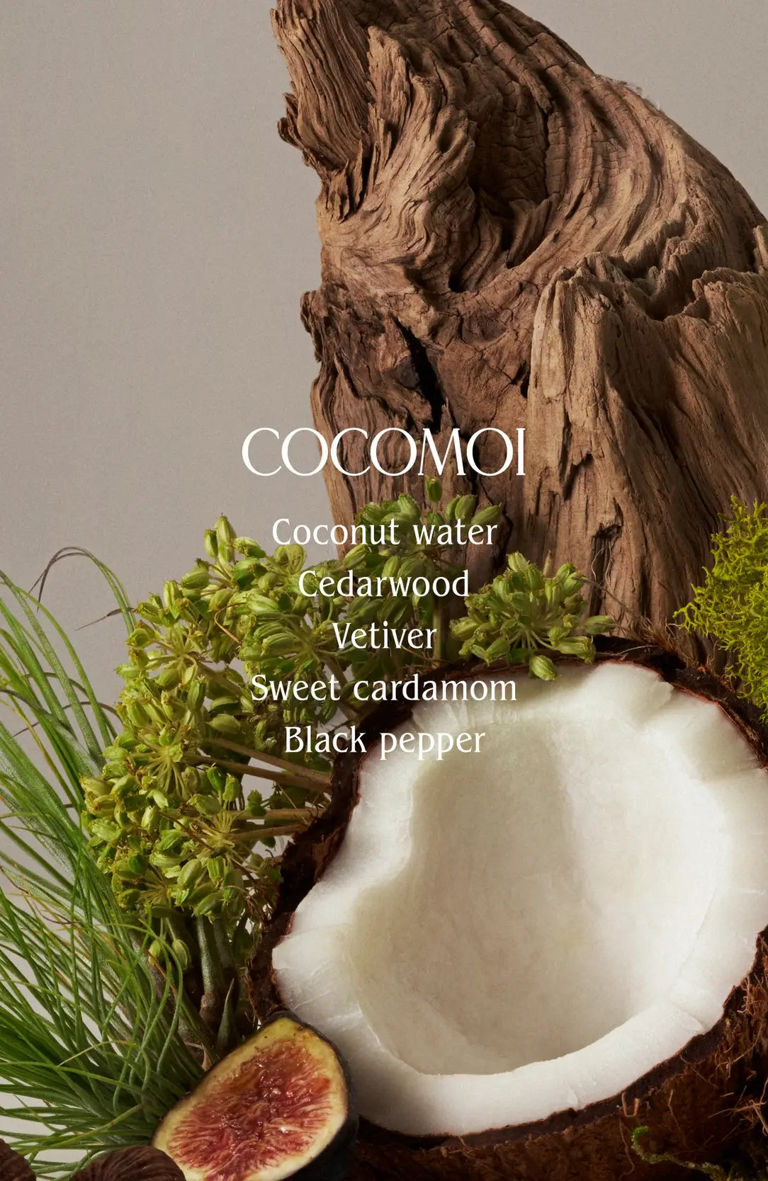 Cocomoi Body Mist | Half Case features coconut, cedarwood, vetiver, cardamom, fig, embodying a sustainable, beach-inspired fragrance mood-board with eco-friendly ingredients.