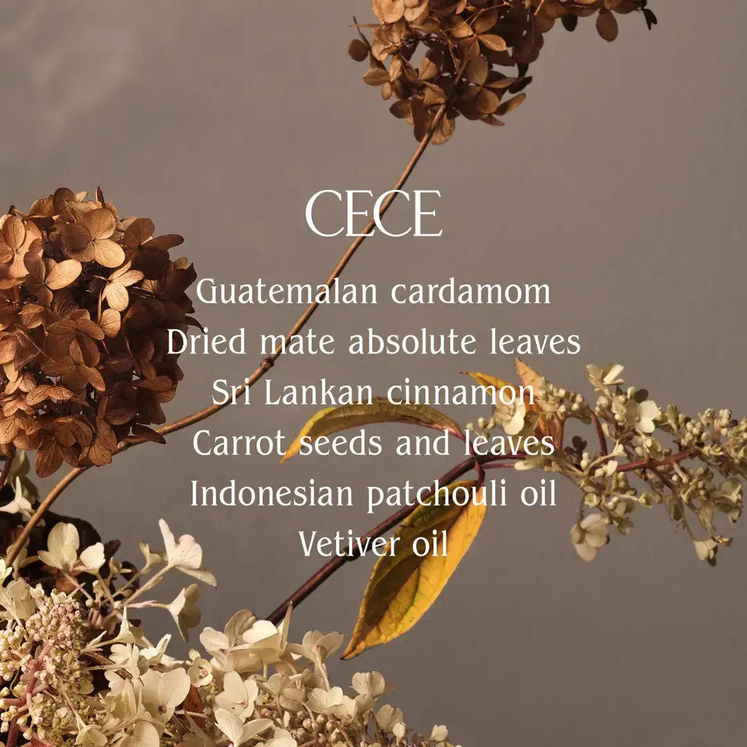 Cece Body Mist | Half Case featuring botanical notes of cardamom, cinnamon, and patchouli, highlighted on a botanical backdrop, embodying sustainable luxury from Beauty Shop Bellaire.