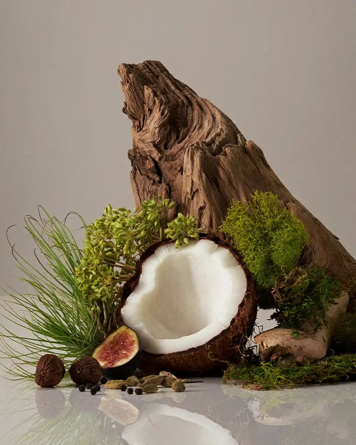 Cocomoi Body Mist | Half Case: A nature-inspired still-life with coconut, fig, spices, and driftwood, evoking the luxurious, earthy fragrance of the body mist.