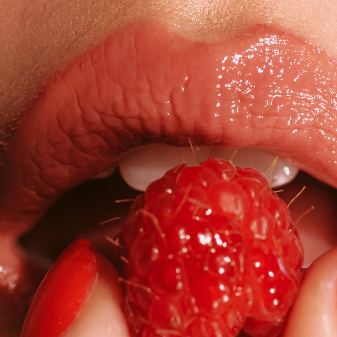 Daily Lip Sun Gloss SPF 30