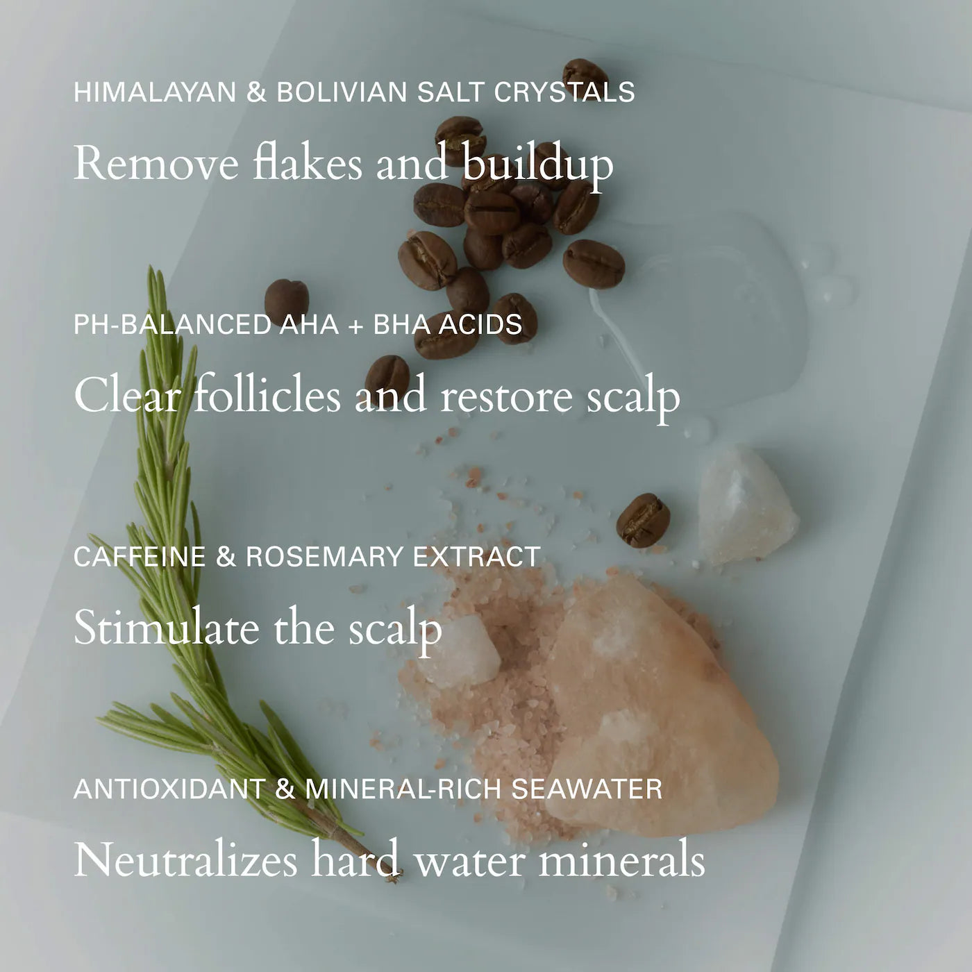 Salt Scalp Scrub Exfoliating Shampoo ingredients and benefits: salt crystals, AHA + BHA acids, caffeine, rosemary, and seawater, promoting scalp health and hair vitality.